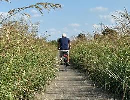 Ciclabile invasa dall’erba