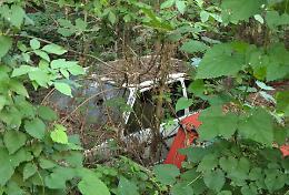 Sul fiume il ‘regno’ dell’inciviltà
