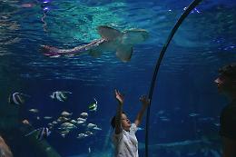 Gardaland SEA LIFE celebra la Giornata della Gentilezza con talk sugli squali e installazioni LEGO®