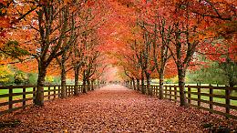 Estate di San Martino al capolinea: dal weekend arriva il maltempo