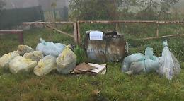 Altro blitz ecologico: liberi prato, fosso e pesci