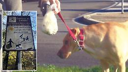 Decoro: «Si faccia di più, non sporcano solo i cani»