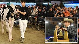 Promesse di futuro, la genetica all'asta