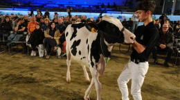 Fiere Zootecniche Internazionali, la terza giornata e il gran finale sul ring