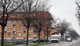 Un bosco in città 160 alberi e 500 arbusti