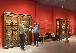 Pellicole antisfondamento sulle vetrine storiche del Museo di Storia Naturale 