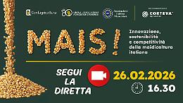 &lsquo;Mais! Innovazione, sostenibilit&agrave; e competitivit&agrave; nella maidicoltura italiana&rsquo;, 26 febbraio alle ore 16.30