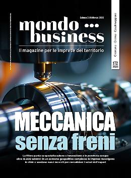 Mondo Business, meccanica sotto la lente