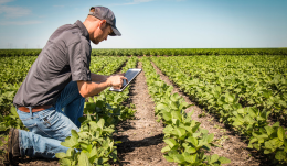 Vitari: &laquo;Non toccate le risorse destinate ad agricoltura e Comuni&raquo;