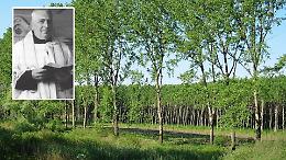 Parco pubblico dedicato a don Bruno