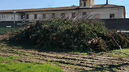 &laquo;Strage di piante nel campetto&raquo;