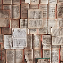 Professione Traduttrice - Quarta edizione