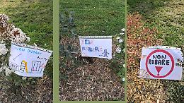 Bambini in prima linea contro i furti di siepi al parco