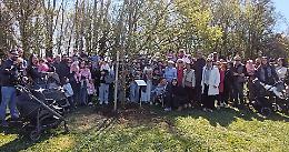 Albero della vita: la festa c&rsquo;&egrave; anche con il crollo di nascite