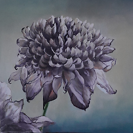 Mostra collettiva dell'Associazione AICS