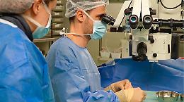 Trapianto di cornea, l'ospedale Maggiore punto di riferimento 