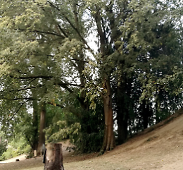 Una passeggiata nel Parco Bonaldi con il FAI