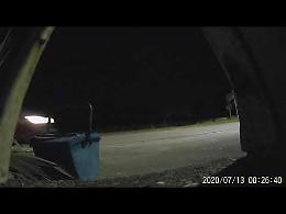 VIDEO Velo ok abbattuto, individuati i vandali