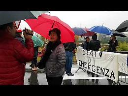 VIDEO La manifestazione spontanea di domenica 5 novembre
