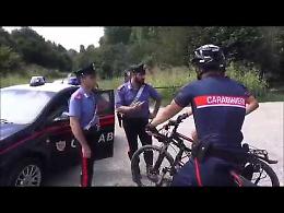 VIDEO Pantera, le ricerche nella boscaglia tra Cremona e Gerre de' Caprioli