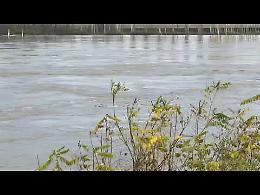 VIDEO Il Po questa mattina a San Nazzaro e Castelvetro