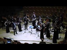 La Lilla Akademien di Stoccolma in concerto al Museo del Violino