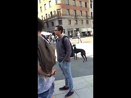 Il video:  la Festa delle Arti 2016