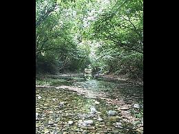 VIDEO Parco regionale del Serio: gli ambienti umidi