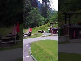 VIDEO Cascate Nardis, un orso tra i tavolini 