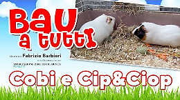 Cobi, Cip&Ciop: non solo cani 