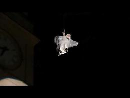 VIDEO Discesa di Santa Lucia dal campanile della Chiesa di Santa Maria Assunta