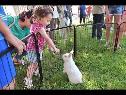 VIDEO A Sabbioneta 'Made in Bunny on the road 2018'