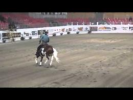 Il video della competizione di Reining nell'ambito di Futurity