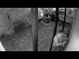 VIDEO Cremonese occupa abusivamente una casa, sfrattato dopo 2 anni