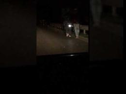 VIDEO Il Coronavirus non ferma i rave party