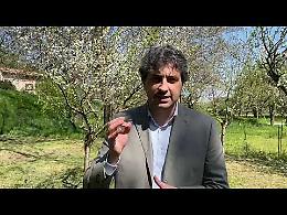 VIDEO MESSAGGIO Gerre, i ringraziamenti e gli auguri del sindaco Marchi