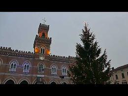 VIDEO Il 'Concerto sotto l'albero' dell'Estudiantina