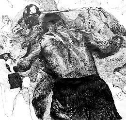 Drawings, uno sguardo sul disegno contemporaneo