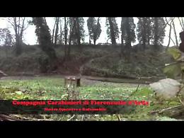 Operazione antidroga dei carabinieri di Fiorenzuola