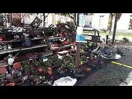 VIDEO Cimitero, chiosco dei fiori a fuoco nella notte