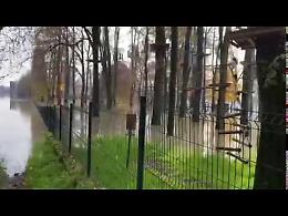 VIDEO  Piena del Po: il fiume invade le Colonie Padane

