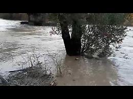VIDEO Il fiume Serio in piena a Crema