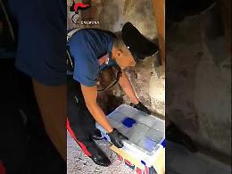 VIDEO 1 Blitz dei carabinieri in due abitazioni:  sequestrate armi e droga