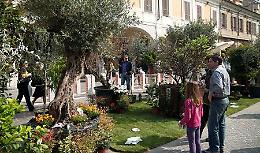 Brixia Florum