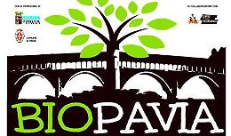 BioPavia
