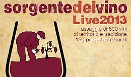 Sorgente del vino live 2013