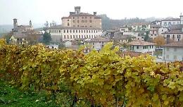 Collisioni: creature selvagge. Musica e letterature tra storia e vino