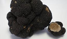 A San Zeno di Montagna (Vr) ''Profumo di Tartufo del Baldo''