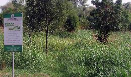 Il Comune non taglia l'erba
Il Parco della vita soffoca