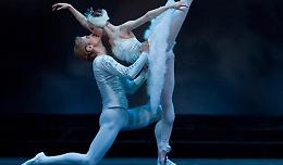 ''Il lago dei cigni'' col New Classical Ballet of  Moscow allo Zenith di Casalmaggiore sabato 30